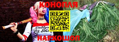 гашик Шахты