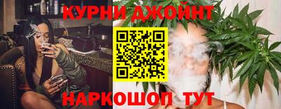 гашик Шахты